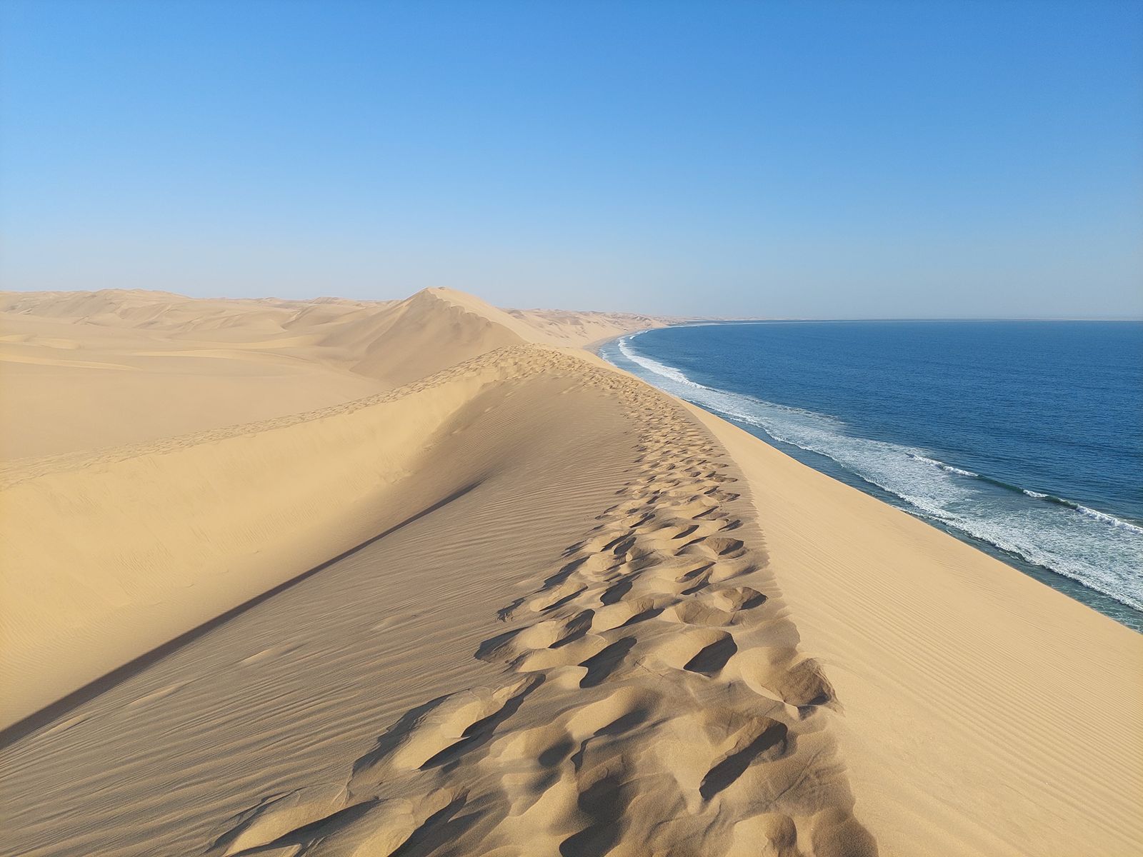 Namib Coastal Mildrid 2 (1)