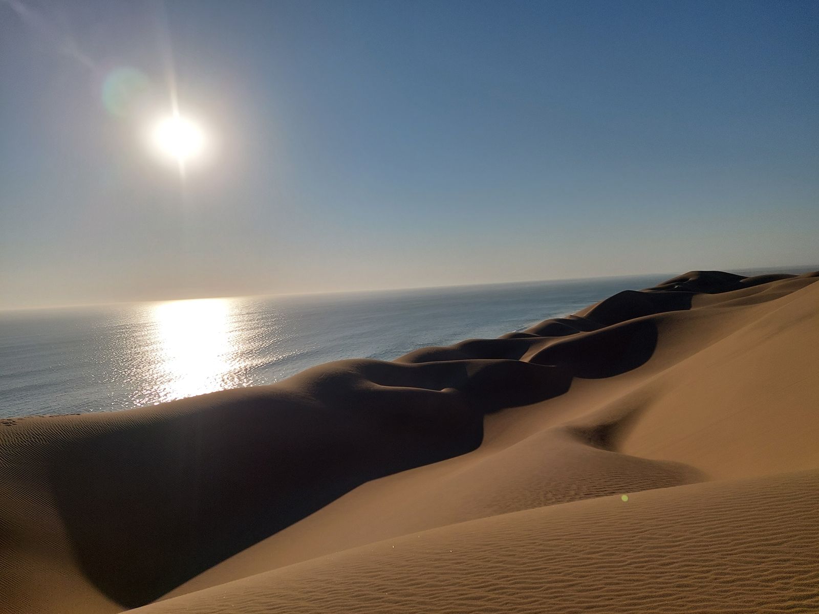 Namib costal Mildrid 1 (1)